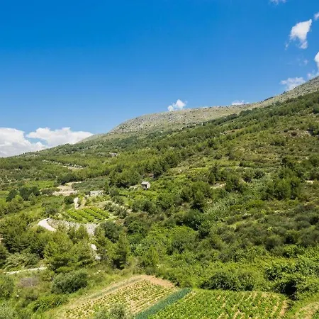 Carso Olea A1 2+2 Appartamento Podstrana